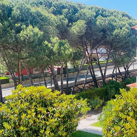 アパート D'el Rey Pool & Golf House